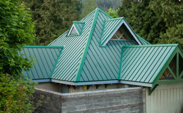 Best Roof Moss and Algae Removal  in Olivet, MI