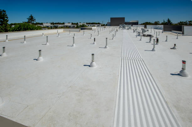 Best Wood Shake Roofing  in Olivet, MI